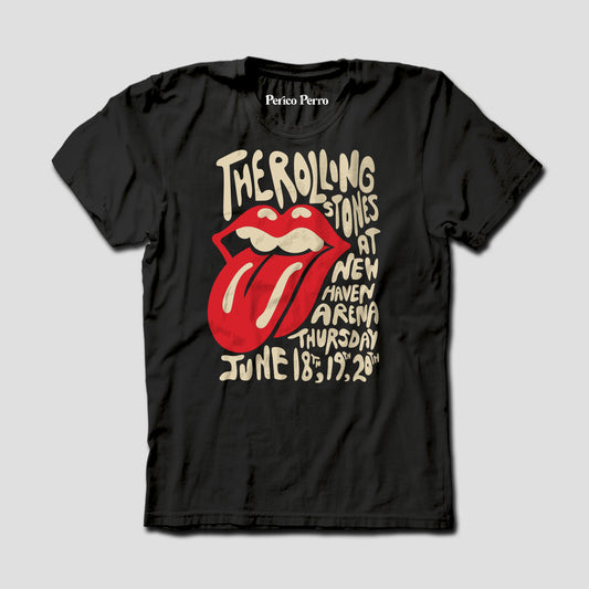 Rolling Stones at New Haven Arena