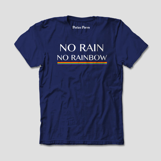 No Rain, No Rainbow